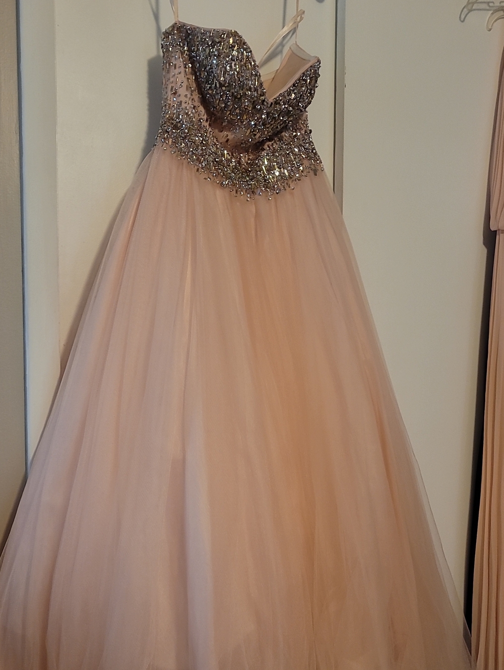 Terani Couture Blush and Silver Beaded Ball Gown